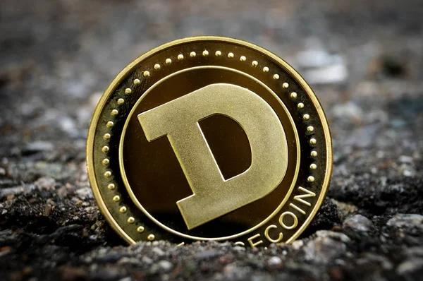 Dogecoin DOGE moyens de paiement crypto-monnaie dans le secteur financier — Photo