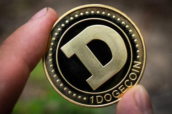 Dogecoin DOGE moyens de paiement crypto-monnaie dans le secteur financier — Photo