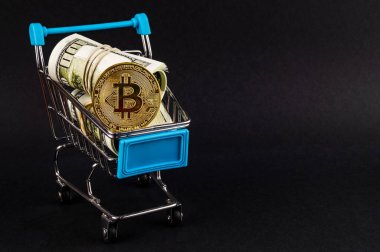 Bitcoin BTC cryptocurrency mali sektörde ödeme anlamına gelir