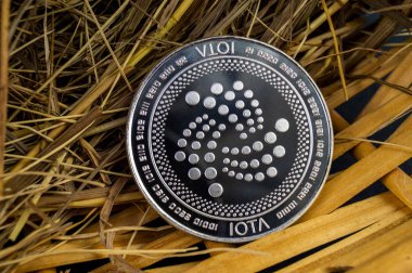 IOTA modern bir yolu bu kripto Döviz Alım ve Satım mali ödeme uygun bir anlamı nedir
