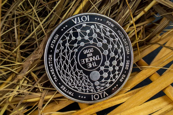IOTA modern bir yolu bu kripto Döviz Alım ve Satım mali ödeme uygun bir anlamı nedir