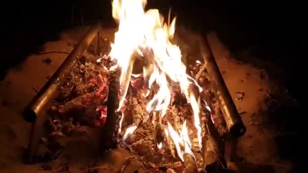 夜间在河岸上起火的火光 — 图库视频影像