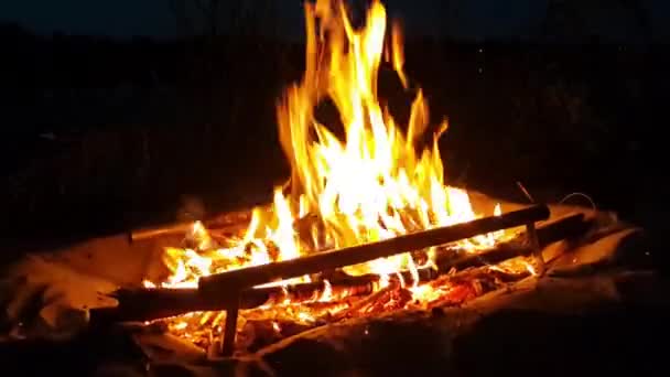Płomienie Płonącego Ognia Brzegu Rzeki Nocy — Wideo stockowe