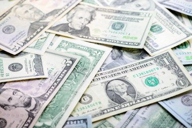 Para Amerikan Doları