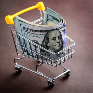 Yüz dolar faturaları alışveriş arabası. Koruma kavramı