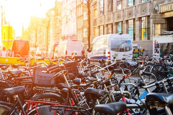 Vélos garés sur la rue de la ville dans les rayons du soleil à Amsterd — Photo