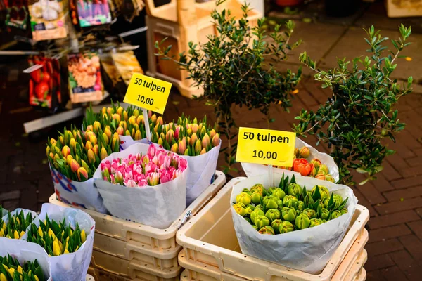 Flores frescas hermosas coloridas para la venta en el mercado en Amste — Foto de Stock
