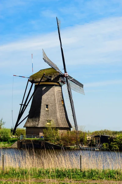 Ünlü doğal kanalları renkli güzel yaz sahnede 