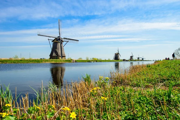 Путешествие по Нидерландам. Традиционная Голландия - ветряные мельницы в ки — стоковое фото