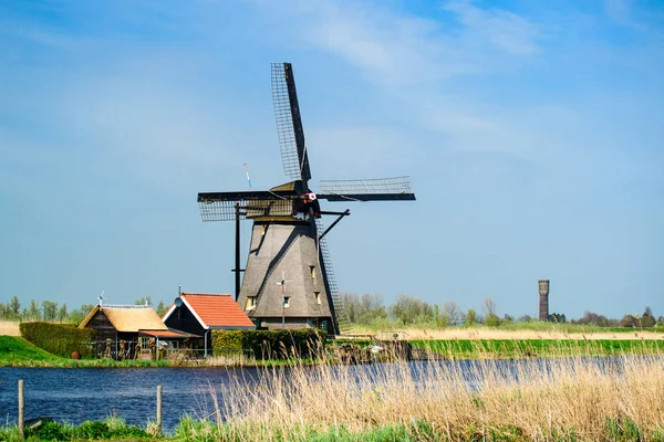 Красочные красивые летние сцены в знаменитых Kinderdijk каналов — стоковое фото