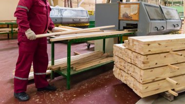 Onun bu işle ağaç işleme fabrikası'nda işçi