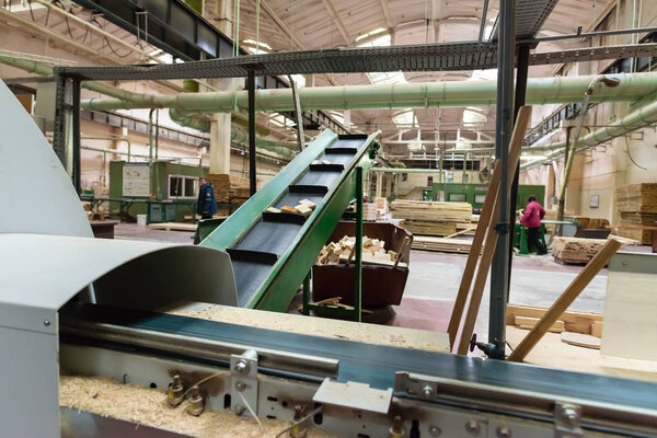 Производство сосновой древесины для обработки, мебели и
