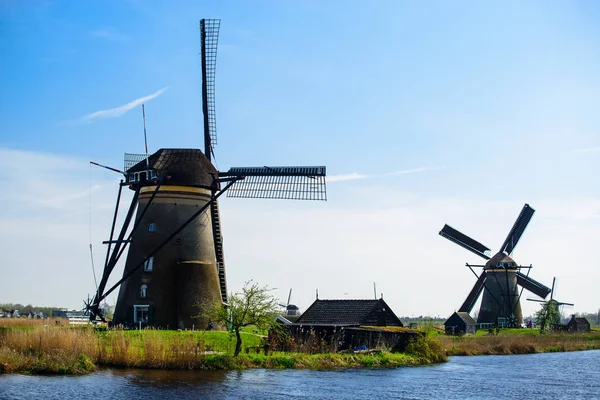 İçinde belgili tanımlık Netherlands seyahat. Geleneksel Hollanda - kı'daki yel değirmenleri — Stok fotoğraf