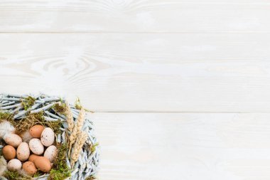 Paskalya yumurta yuvada ahşap arka plan üzerinde