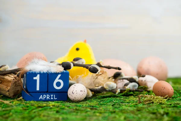Concepto de Pascua 16 de abril, huevos de codorniz — Foto de Stock