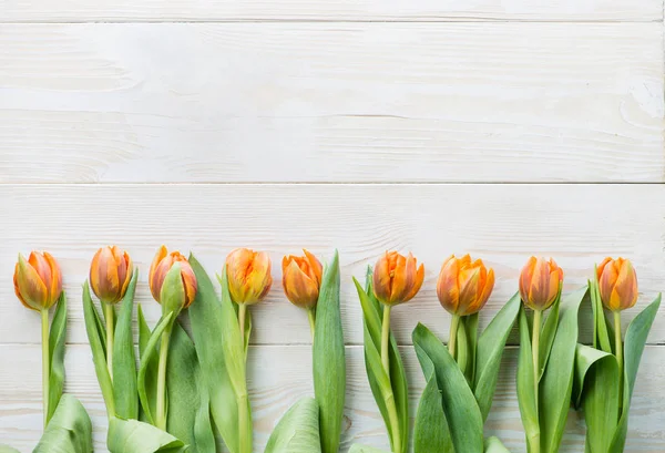 Row of tulips on wooden background with space for message. Mothe — Stock Photo, Image
