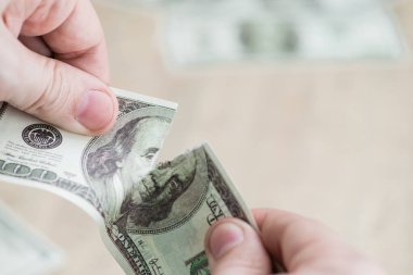 Yırtık doları kavramı