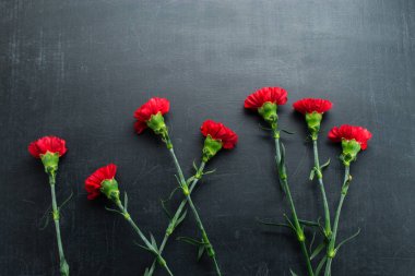 Koyu arka plan kopya alanı üzerinde karanfil