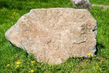 yeşil çimenlerin üzerinde taş portre