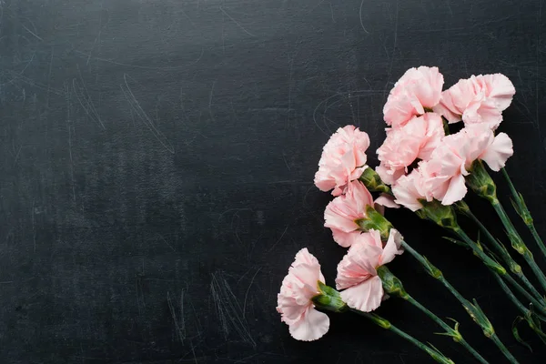 Garofani rosa freschi su sfondo scuro con spazio di copia — Foto Stock