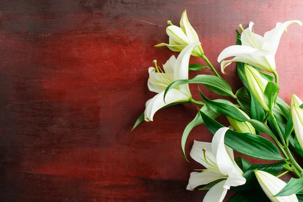 Цветы белой лилии на фоне деревянного стола — стоковое фото