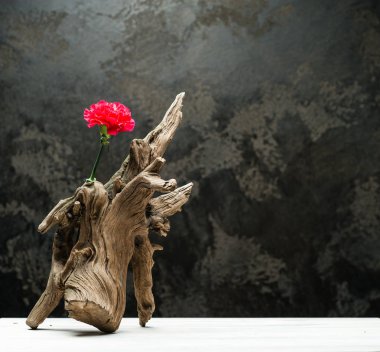 Ahşap rustik kırık dal taze çiçekler