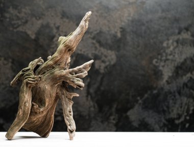 ahşap budak kopya alanı