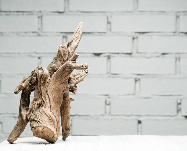 wooden snag copy space