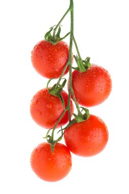 bir dal üzerinde su damlacıkları ile kiraz domates