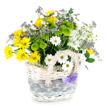 papatya çiçek izole bir sepet içinde kompozisyon