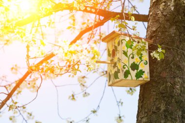 ağaçta asılı boyalı kuş yuvası