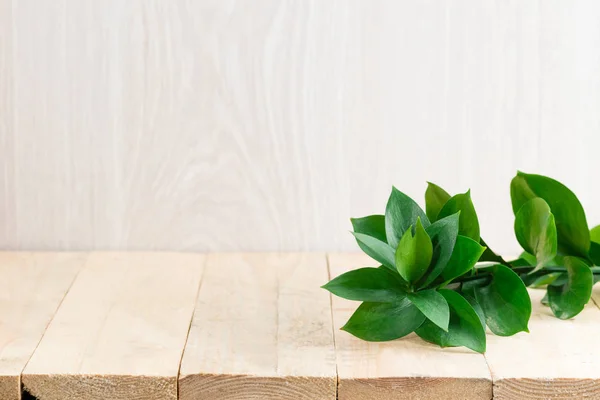 Ветка с зелеными листьями на столе — стоковое фото
