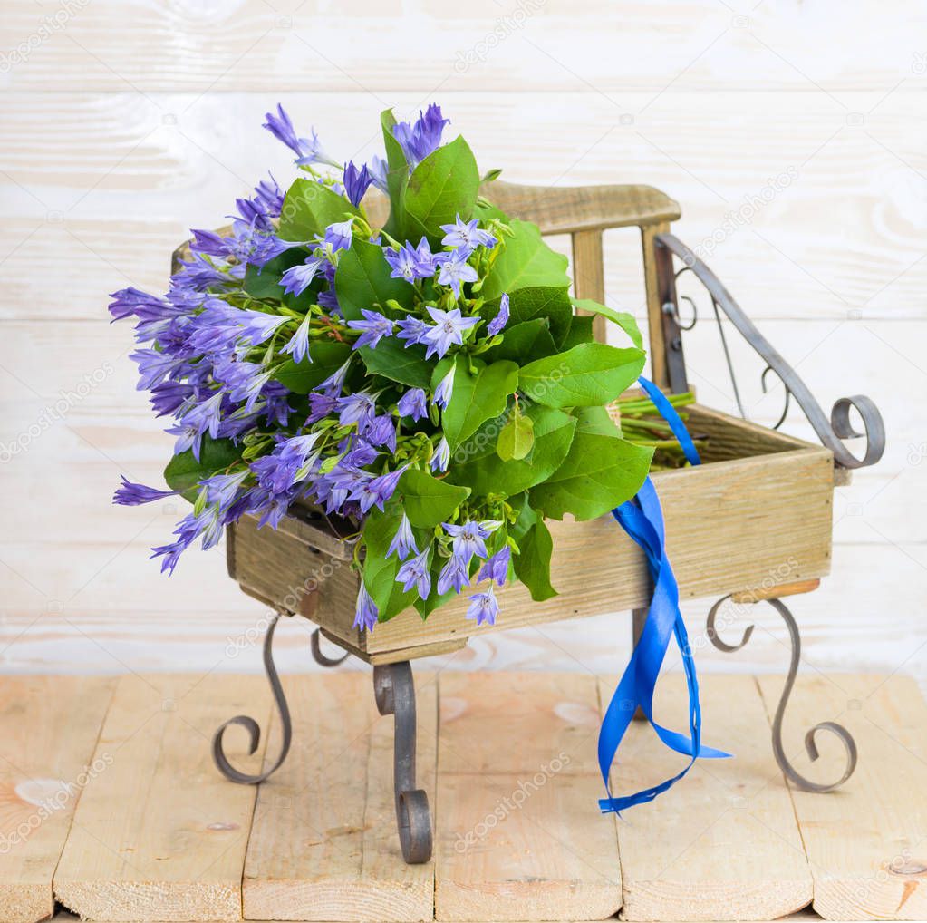 blue campanula bouquet on wooden bench