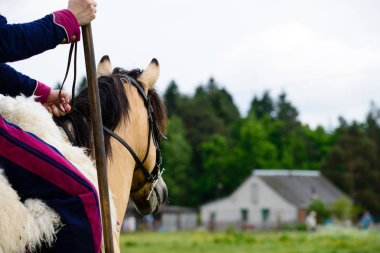 Süvarisi sırtında