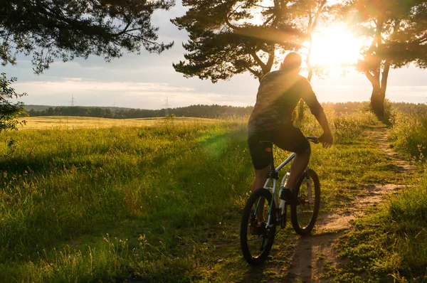 Radfahrer rast in Wald — Stockfoto