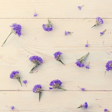 kaotik mavi Peygamber