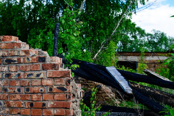 Сгоревшие брёвна снаружи — стоковое фото