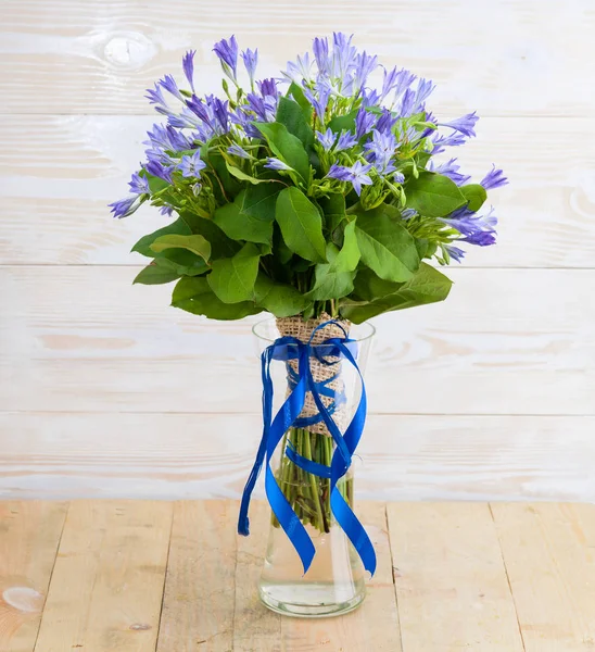 Bouquet bleu de tritium de bleuet sur verre cristal — Photo