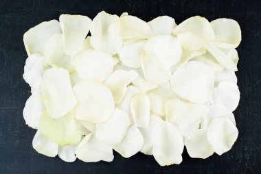 karanlık bir arka plan üzerinde beyaz gül yaprakları kapatmak