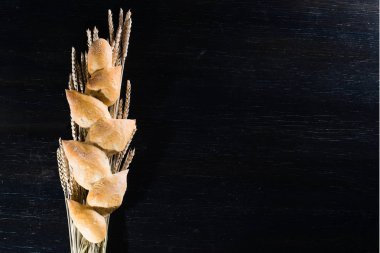 geleneksel İtalyan ekmeği Ciriola Romana karanlık bir arka plan üzerinde. c