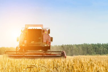 Ray alanında altın olgun buğday hasat Tarım makineleri