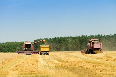 buğday hasat ve traktör t dökme hasat Birleştir