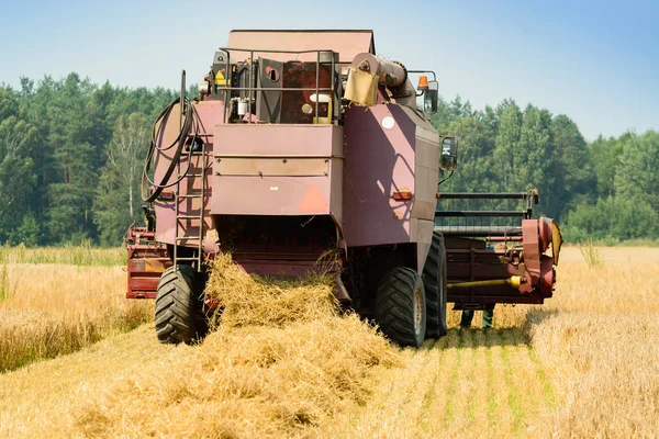 Landbouw machine oogsten gouden rijp tarwe in veld voor gr — Stockfoto