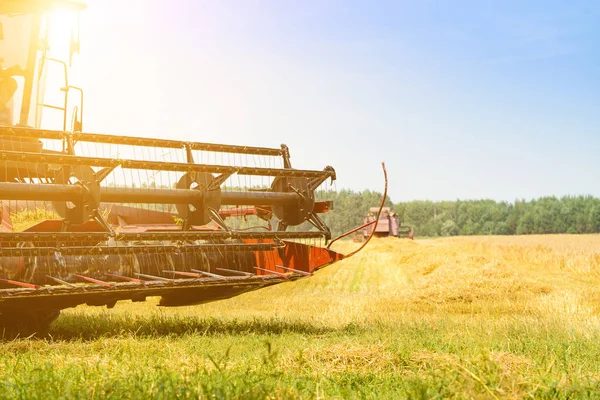 Harvester machine in veld in de stralen van de zon. Landbouw en f — Stockfoto