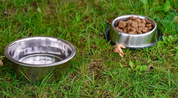 Comida para perros en tazón de metal en hierba — Foto de Stock