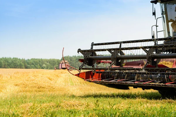 Harvester machine in veld. Landbouw en landbouw concept, sha — Stockfoto