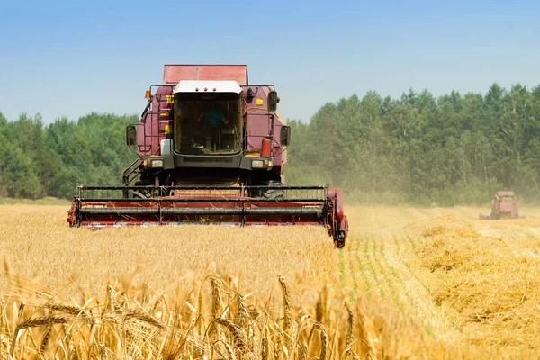 Tarım makine alanında gr altın olgun buğday hasat