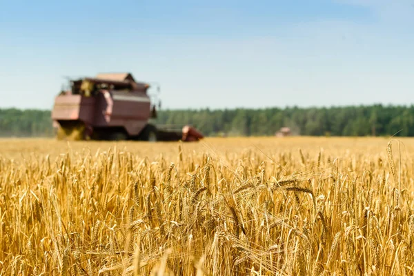 Harvester machine werkend in veld. Landbouw machine harvesti — Stockfoto