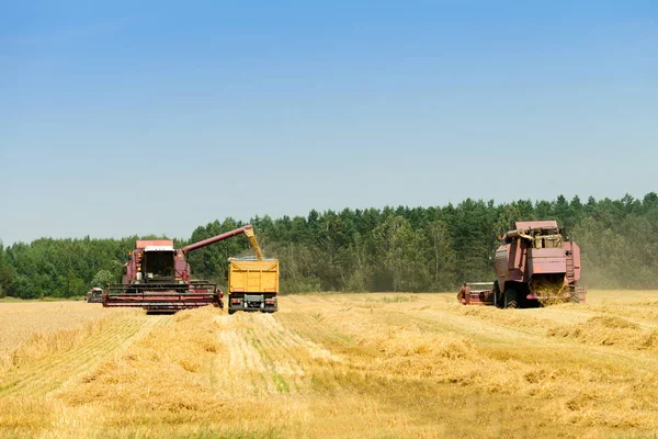 buğday hasat ve traktör t dökme hasat Birleştir