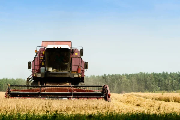 Landbouw machine oogsten gouden rijp tarwe in veld voor gr — Stockfoto